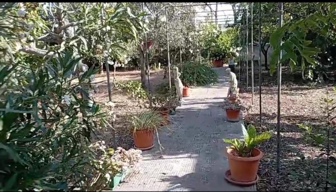 Casa Vacanze Il Carrubo Leporano Kültér fotó